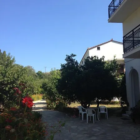 Alekos And Kokkari